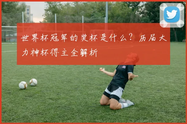 世界杯冠军的奖杯是什么？历届大力神杯得主全解析