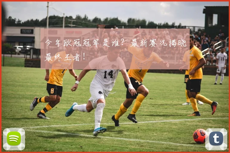 今年欧冠冠军是谁?最新赛况揭晓最终王者!