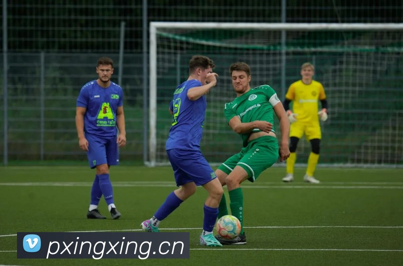 多媒体互动体验