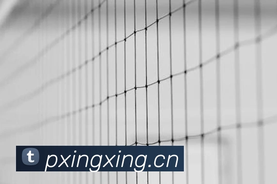 九游j9网页版APP 高清赛事图